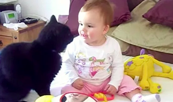遠慮しながら猫のしっぽに触る赤ちゃん 仲良くなる様子にほのぼの ラブリープレス