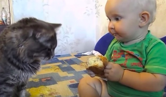 仲良しな赤ちゃんからパンをおすそ分けされた猫 優しさ溢れる光景に癒される ラブリープレス