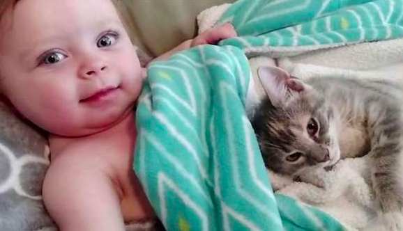 天使たちのお目覚め 仲良く眠っていた赤ちゃんと子猫の寝起きが超可愛い ラブリープレス