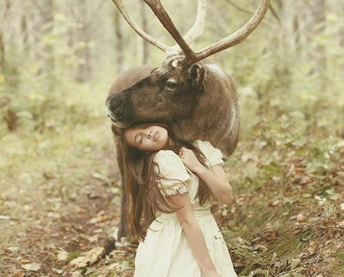 美女と森の動物たちが織り成す幻想的な世界が美しい ラブリープレス